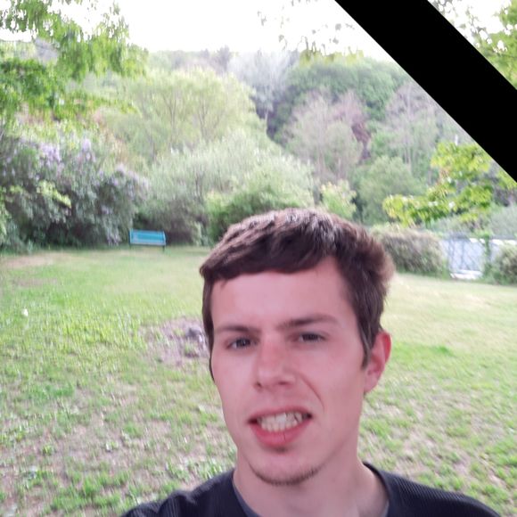 Meet your Posher, Daniel - Picture 1 of 1